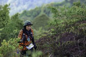 BIB: 2094
                            <button type="button" onclick="openModal(24764066)" class="btn btn-primary btn-sm float-right btn-popup" data-toggle="modal" data-target=".modal-high-quality">
                        <i class="fas fa-shopping-cart"></i> Add to Cart
                    </button>
                                            <button type="button" onclick="isThisMe(24764066, true)" class="btn btn-success btn-sm float-right btn-popup btn-isme hidden" data-toggle="tooltip" data-placement="bottom" title="นี่คือรูปของคุณใช่ไหม คลิกที่นี่เพื่อเอาเข้าอัลบั้ม">
                        <i class="fas fa-plus"></i> Add to album
                    </button>
                    <button type="button" onclick="isThisMe(24764066, false)" class="btn btn-warning btn-sm float-right btn-popup btn-isnotme hidden">
                        <i class="fas fa-ban"></i> Remove from album
                    </button>